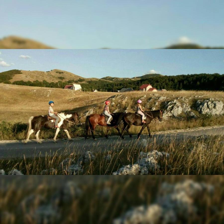 Rural Resort Tron 플루지네 외부 사진